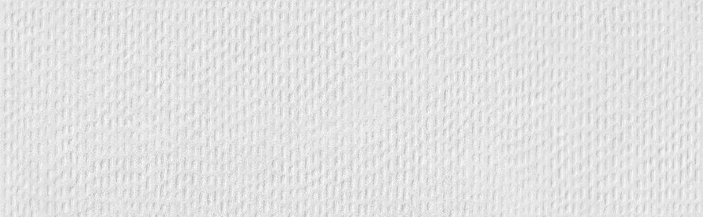 SHAPE PEARL MATT DECOR RECT. 31,6x100 - B95