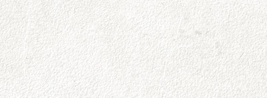 MAGNUM WHITE MATT DECOR RECT. 29,5x90 - B59