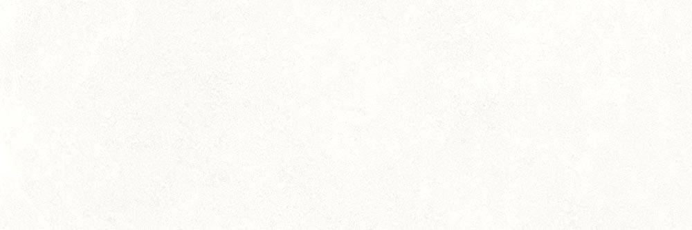 ESSENCE BLANC MATT RECT 29,5x90 - B69